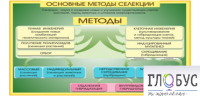Стенд "Методы селекции и биотехнологии" - «globural.ru» - Санкт-Петербург