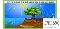 Стенд "Круговорот веществ" - «globural.ru» - Санкт-Петербург