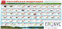Стенд "Красная книга РФ" - «globural.ru» - Санкт-Петербург