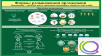Стенд "Формы размножения организмов" - «globural.ru» - Санкт-Петербург