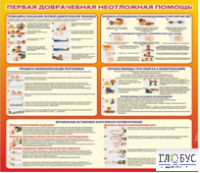 Стенд "Первая доврачебная неотложная помощь" - «globural.ru» - Санкт-Петербург