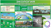 Стенд "Экология. Антропогенное воздействие на биосферу" - «globural.ru» - Санкт-Петербург