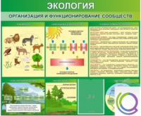 Стенд "Экология. Организация и функционирование сообществ" - «globural.ru» - Санкт-Петербург