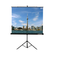 Проекционный экран на штативе Lumien Eco View (LEV-100105) 160x160 см - «globural.ru» - Санкт-Петербург