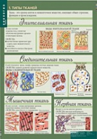 Биология 8-9 класс. Человек. (комплект таблиц) - «globural.ru» - Санкт-Петербург