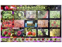 Комплект оборудования "Живой уголок" (растения) с тифлопереводом и сурдокомментариями - «globural.ru» - Санкт-Петербург
