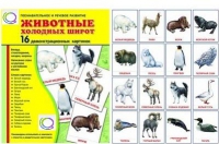 Демонстрационные карточки "Животные холодных широт" - «globural.ru» - Санкт-Петербург