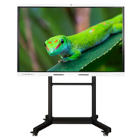Интерактивный комплекс Geckotouch ​​​​​​​65RK - «globural.ru» - Санкт-Петербург