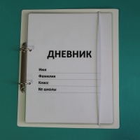 Дневник школьника (с полным набором карточек) - «globural.ru» - Санкт-Петербург