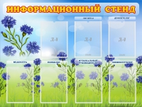 Стенд информационный с 7 карманами - «globural.ru» - Санкт-Петербург