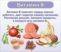 Стенд "Витамин В" - «globural.ru» - Санкт-Петербург