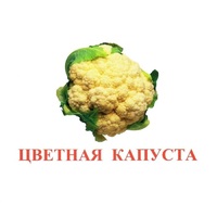Карточки Домана "Овощи-Зелень-2" - «globural.ru» - Санкт-Петербург