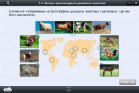 Интерактивные курсы. Биология 7 класс. Расширенный - «globural.ru» - Санкт-Петербург