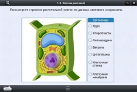 Интерактивные курсы. Биология 9 класс. Базовый - «globural.ru» - Санкт-Петербург