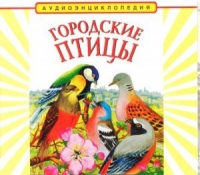 CD "Аудиоэнциклопедия. Городские птицы" - «globural.ru» - Санкт-Петербург