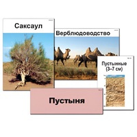 Модель-аппликация "Природные зоны России" - «globural.ru» - Санкт-Петербург