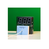 Датчик температуры с независимой индикацией (термометр демонстрационный) - «globural.ru» - Санкт-Петербург