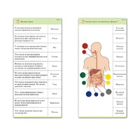 Комплект карточек (10) "Обучающий калейдоскоп. Человек" - «globural.ru» - Санкт-Петербург