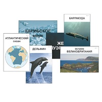 Модель-аппликация "Океаны. Знакомство" (ламинированная) - «globural.ru» - Санкт-Петербург