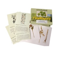 Гербарий "Систематика растений. Семейство Бобовые. Злаки" (раздаточный) - «globural.ru» - Санкт-Петербург