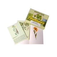 Гербарий "Систематика растений. Семейство Пасленовые. Крестоцветные. Сложноцветные" (раздаточный) - «globural.ru» - Санкт-Петербург