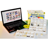 Коллекция натурально-интерактивная "Пластмассы" - «globural.ru» - Санкт-Петербург