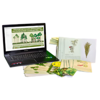 Гербарий натурально-интерактивный "Растительные сообщества. Лес" - «globural.ru» - Санкт-Петербург