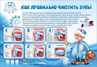 Стенд "Как правильно чистить зубы" - «globural.ru» - Санкт-Петербург