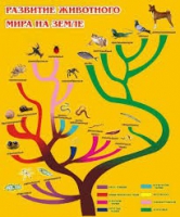 Стенд "Развитие животного мира на земле" - «globural.ru» - Санкт-Петербург