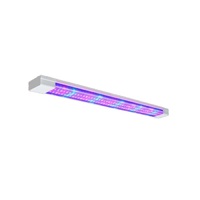 Фитолампа - «globural.ru» - Санкт-Петербург