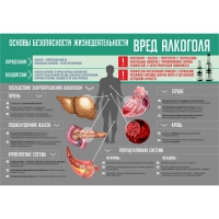 Стенд "Алкоголь" - «globural.ru» - Санкт-Петербург
