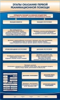Электрифицированный стенд-тренажер "Этапы оказания первой реанимационной помощи" - «globural.ru» - Санкт-Петербург