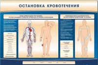 Электрифицированный стенд-тренажер "Остановка кровотечения" - «globural.ru» - Санкт-Петербург