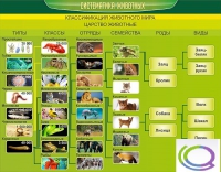 Стенд "Систематика животных" - «globural.ru» - Санкт-Петербург