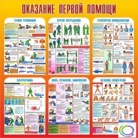 Стенд "Оказание первой помощи" - «globural.ru» - Санкт-Петербург