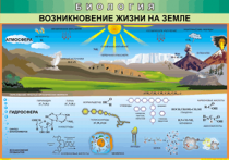 Таблица Возникновение жизни на Земле 1000*1400 винил - «globural.ru» - Санкт-Петербург