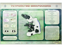 Электрифицированный стенд "Устройство микроскопа и правила работы c ним" - «globural.ru» - Санкт-Петербург