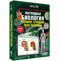Наглядная биология. Человек. Строение тела человека - «globural.ru» - Санкт-Петербург