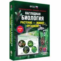 Наглядная биология. Растение - живой организм - «globural.ru» - Санкт-Петербург