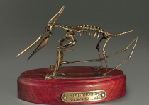 Модель скелета птерозавра Pteranodon - «globural.ru» - Санкт-Петербург