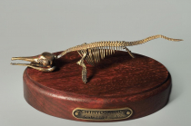 Модель скелета ихтиозавра Ichthyosaurus - «globural.ru» - Санкт-Петербург