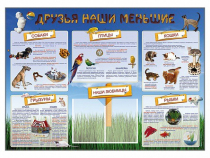 Стенд-уголок "Друзья наши меньшие" - «globural.ru» - Санкт-Петербург