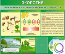 Стенд "Экология. Организация и функционирование сообществ" - «globural.ru» - Санкт-Петербург