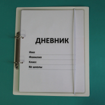 Дневник школьника (с полным набором карточек) - «globural.ru» - Санкт-Петербург