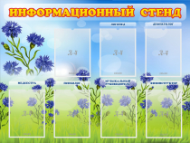 Стенд информационный с 7 карманами - «globural.ru» - Санкт-Петербург