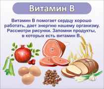 Стенд "Витамин В" - «globural.ru» - Санкт-Петербург