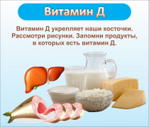 Стенд "Витамин Д" - «globural.ru» - Санкт-Петербург