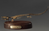 Модель скелета мозазавра Mosasaurus - «globural.ru» - Санкт-Петербург