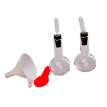 Прибор для иллюстрации закона сохранения массы веществ (вариант 1) - «globural.ru» - Санкт-Петербург