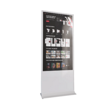 Интерактивный сенсорный киоск Nova 43" - «globural.ru» - Санкт-Петербург
